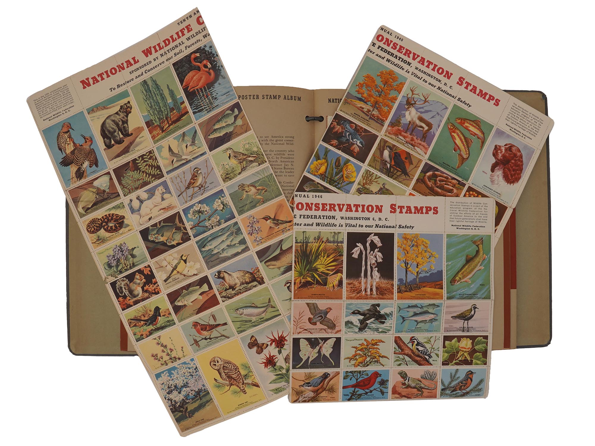 1939 NWF AMERICAN WILDLIFE POSTER STAMP ALBUM PIC-1